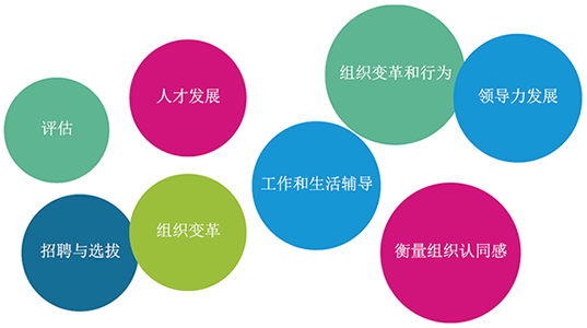 300高.png